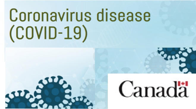 Covid 19 Etkileri Ve Kanada Devletinin Almis Oldugu Ekonomik Tedbirler Canadaturk